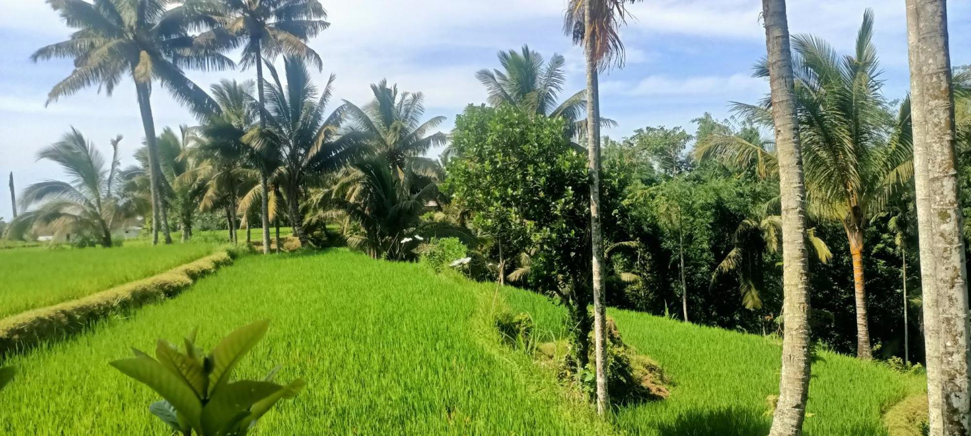 Apartmán Lingkung Park Tetebatu Exteriér fotografie